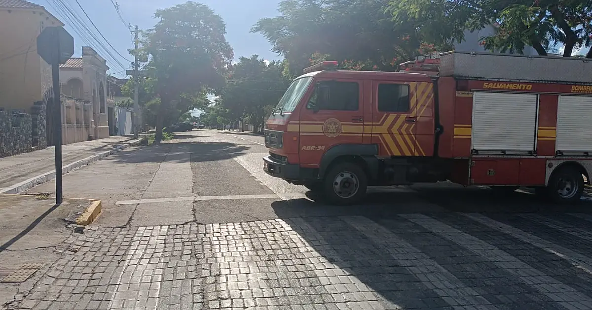 Controle de abelhas é destaque no plantão dos Bombeiros