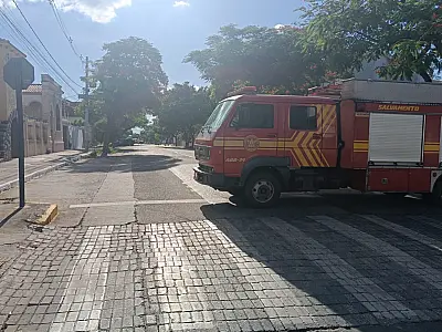 Controle de abelhas é destaque no plantão dos Bombeiros