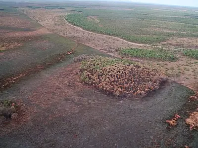 Área queimada já corresponde à 6% do Pantanal de MS