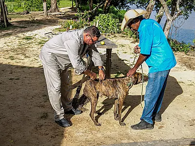 Vacinação antirrábica inicia dia 1° de agosto em Corumbá