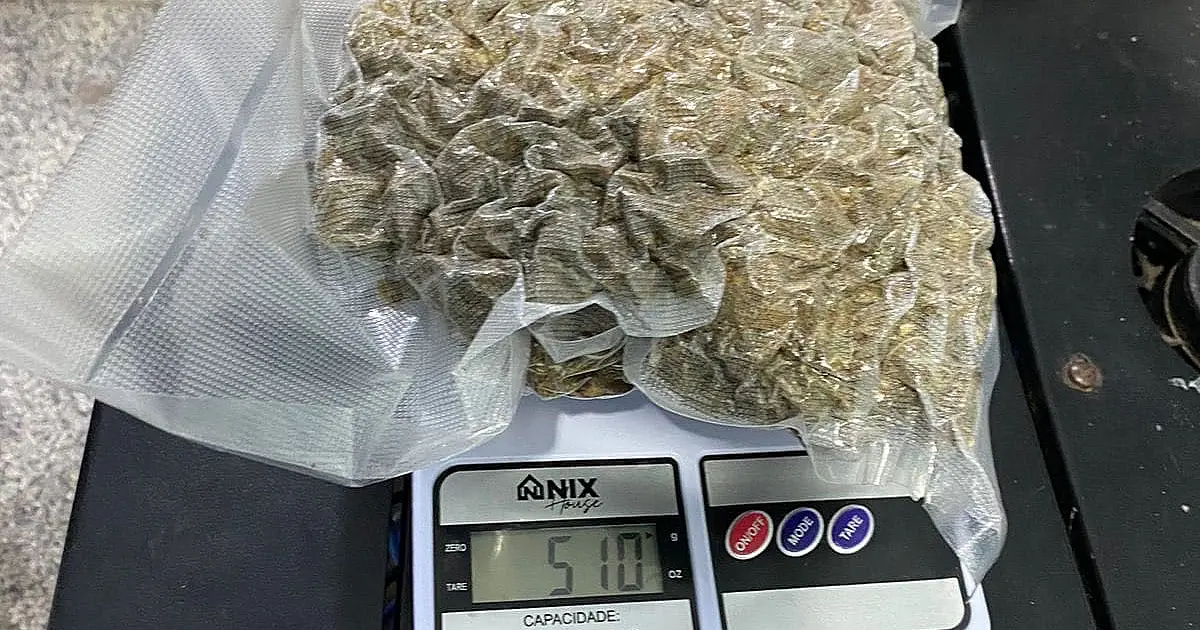 Operação Ágata: Passageiro é preso com 3kg de maconha no Lampião Aceso