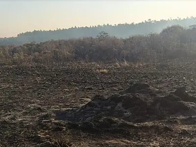 Usina é multada em quase R$ 2 milhões por incêndio em áreas protegidas por lei