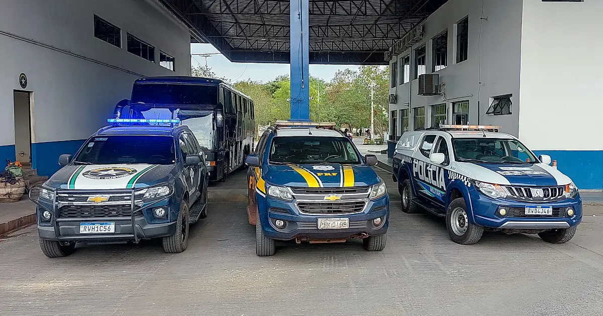 Operação apreende drogas, mercadorias, carcaças e carne de filhotes de Ilhama