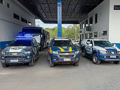 Operação apreende drogas, mercadorias, carcaças e carne de filhotes de Ilhama