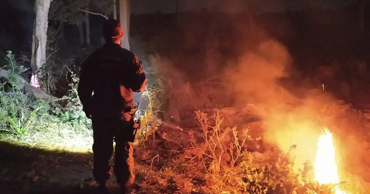 Ações preventivas reduzem grandes queimadas e outros crimes ambientais em MS