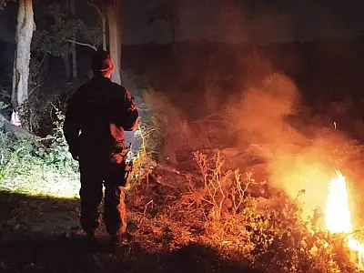 Ações preventivas reduzem grandes queimadas e outros crimes ambientais em MS