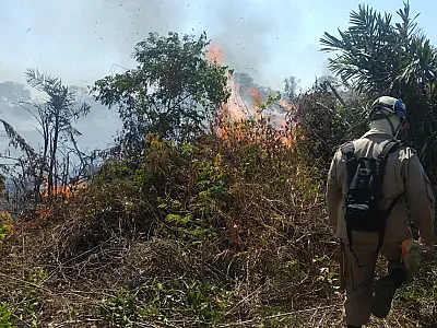 60 dias de operação: fogo ainda queima em pelo menos três regiões do Pantanal