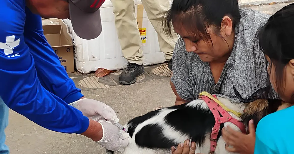 Campanha binacional vacina mais de 1,7 mil animais na fronteira com a Bolívia