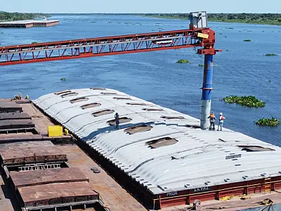 Exportações de MS chegam a US$ 7,23 bilhões até agosto de 2023, crescimento de 28,9%