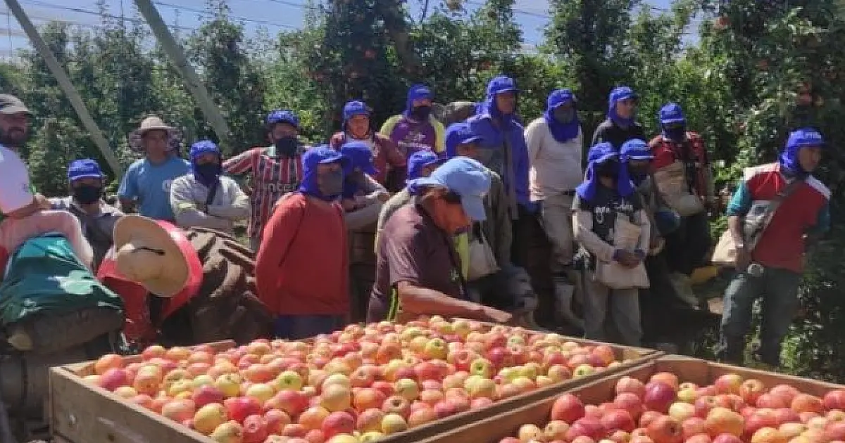Semana começa com 4 mil vagas de trabalho em Mato Grosso do Sul