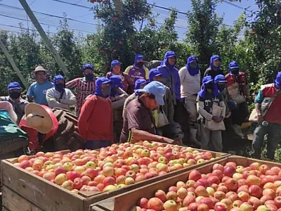 Semana começa com 4 mil vagas de trabalho em Mato Grosso do Sul