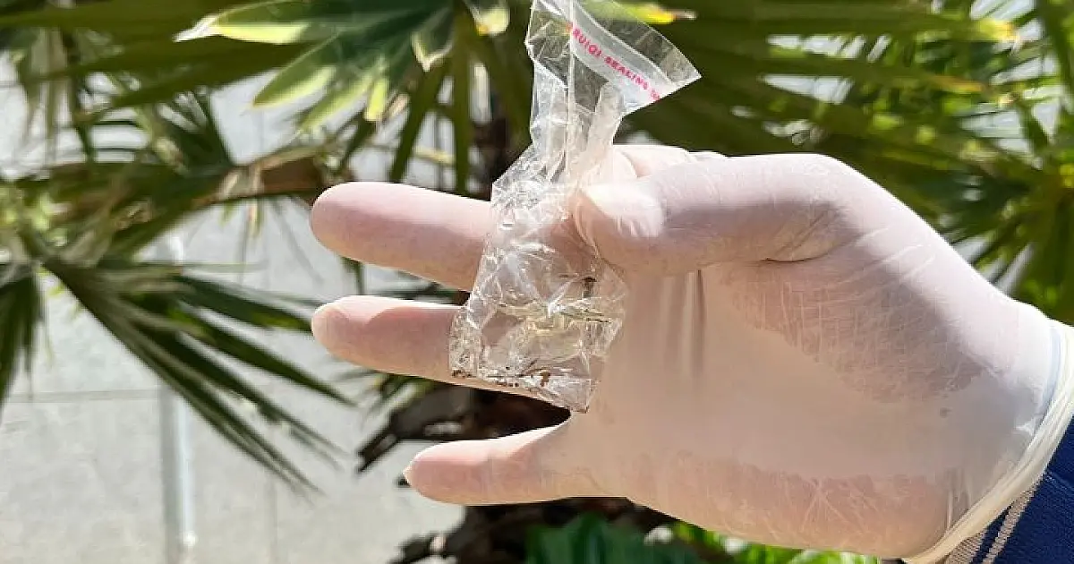 MS registra 14 casos confirmados de dengue