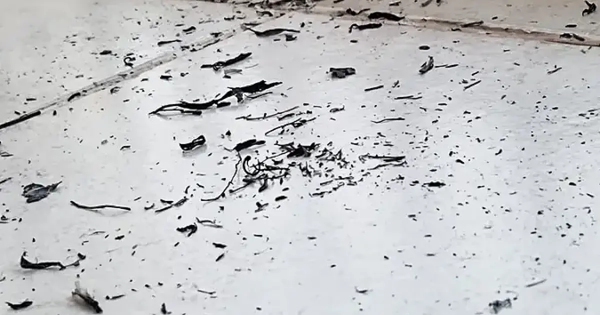 Fumaça provocada pelas queimadas no Pantanal exige cuidados extras com a saúde
