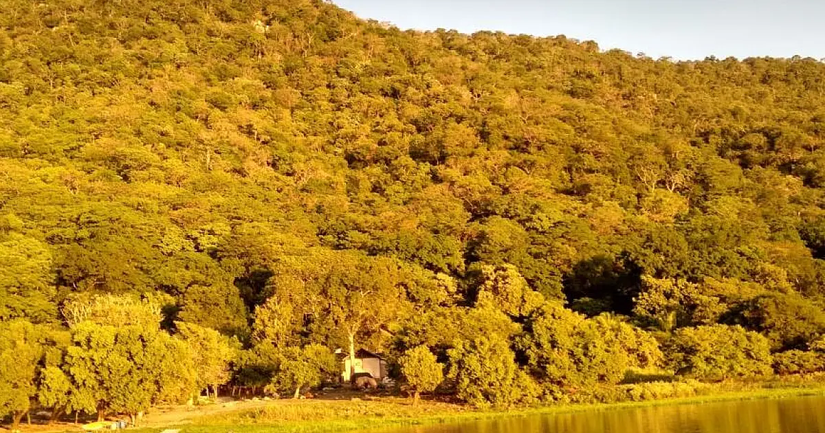 Novo relatório do MPE atribui incêndio de janeiro na Serra do Amolar a ONG ambientalista