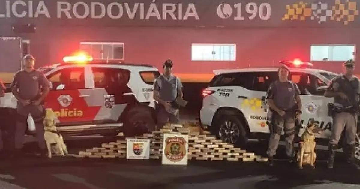 Ônibus de MS é apreendido em São Paulo com quase 100 quilos de cocaína