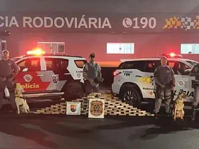Ônibus de MS é apreendido em São Paulo com quase 100 quilos de cocaína