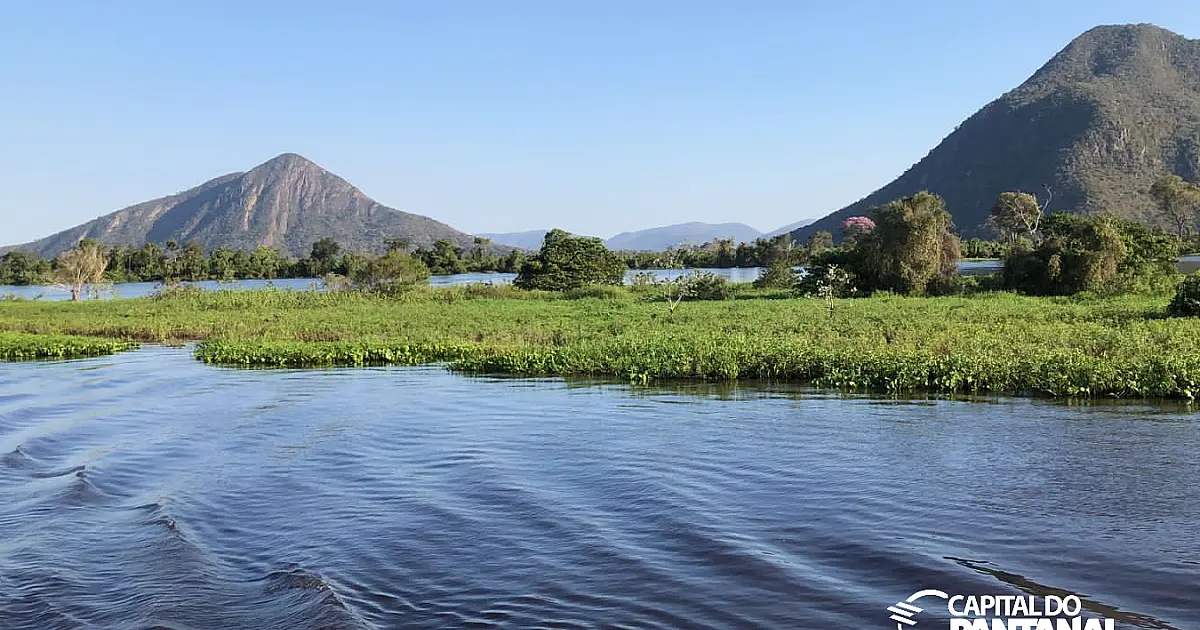 MS contrata temporários para se adequar à Lei do Pantanal