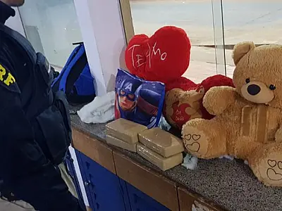 Duas bolivianas são presas com 5 kg de pasta base escondidas em pelúcias