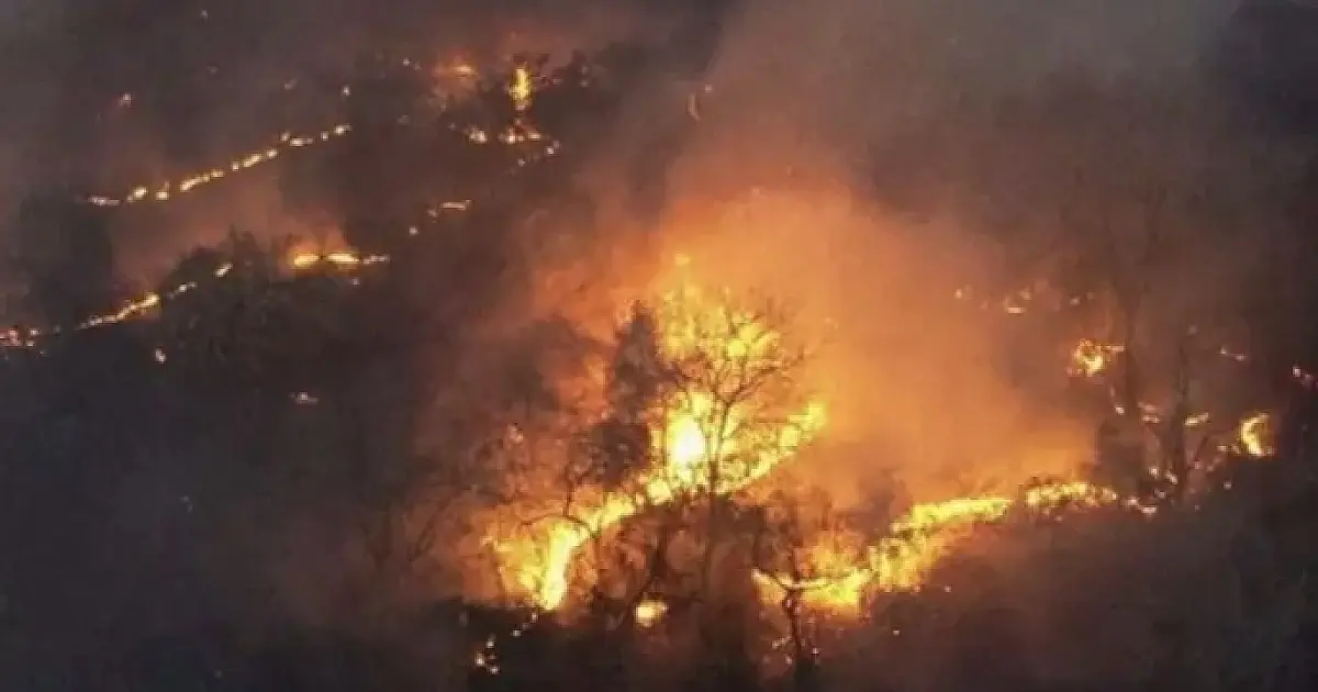 MS tem menor índice de focos de incêndio em 3 anos e 'despenca' no ranking das queimadas