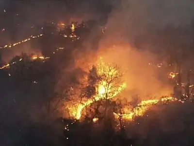 MS tem menor índice de focos de incêndio em 3 anos e 'despenca' no ranking das queimadas