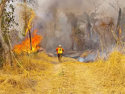 Incêndios no Pantanal já consumiram mais de 15% do bioma neste ano