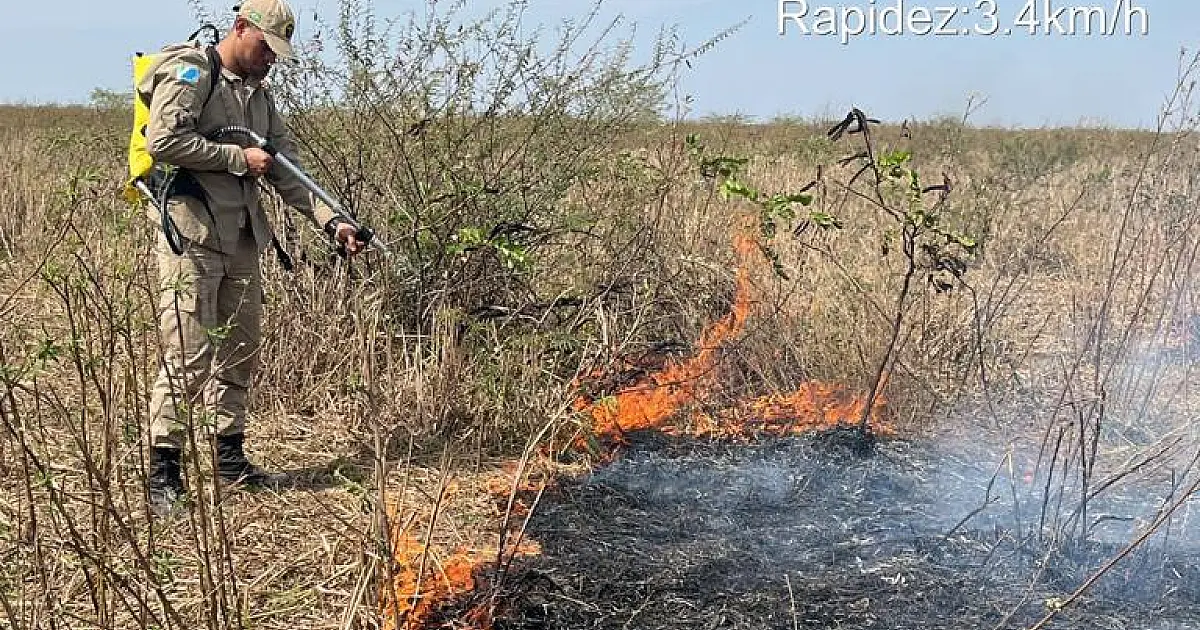 Bombeiros atuam em três regiões com duas bases avançadas no Pantanal