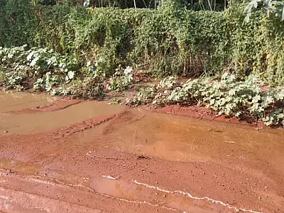 Frigorífico é autuado em R$ 50 mil por derramamento de efluentes industriais