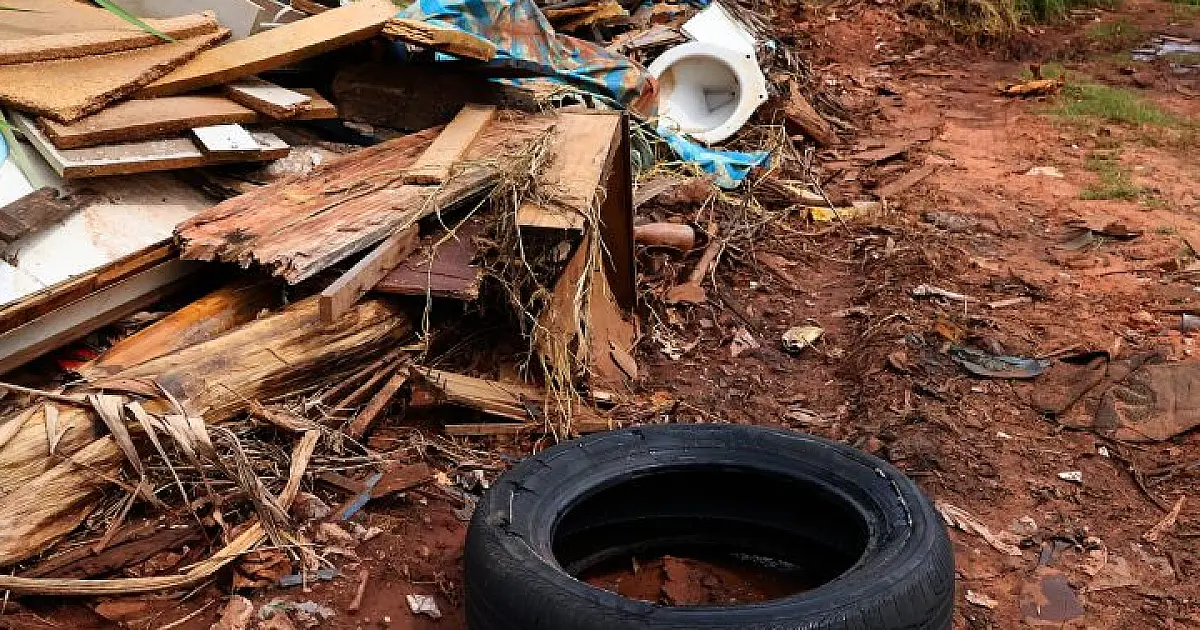 Cuidados básicos evitam proliferação do mosquito da dengue