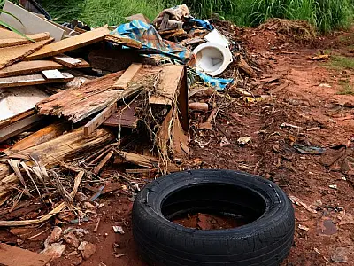Cuidados básicos evitam proliferação do mosquito da dengue