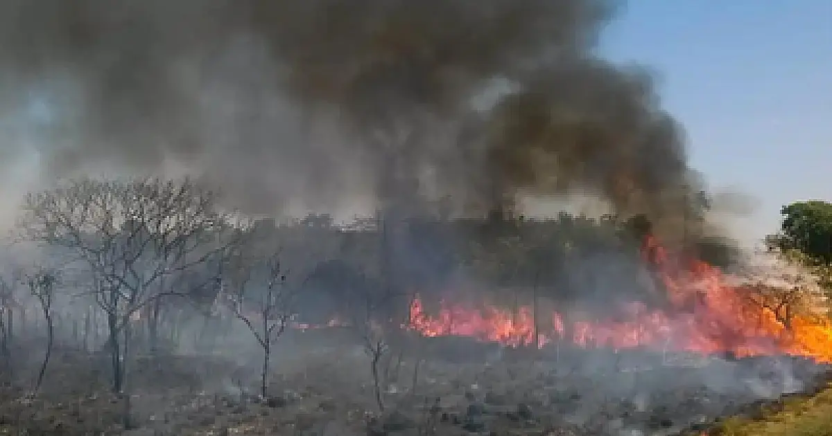 MPF divulga balanço da atuação judicial e extrajudicial quanto as mudanças climáticas e queimadas