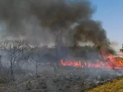MPF divulga balanço da atuação judicial e extrajudicial quanto as mudanças climáticas e queimadas