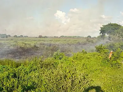 Bombeiros combatem incêndio no Porto da Manga