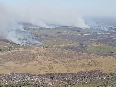 PF cumpre sete mandados em operação que investiga incêndios criminosos no Pantanal