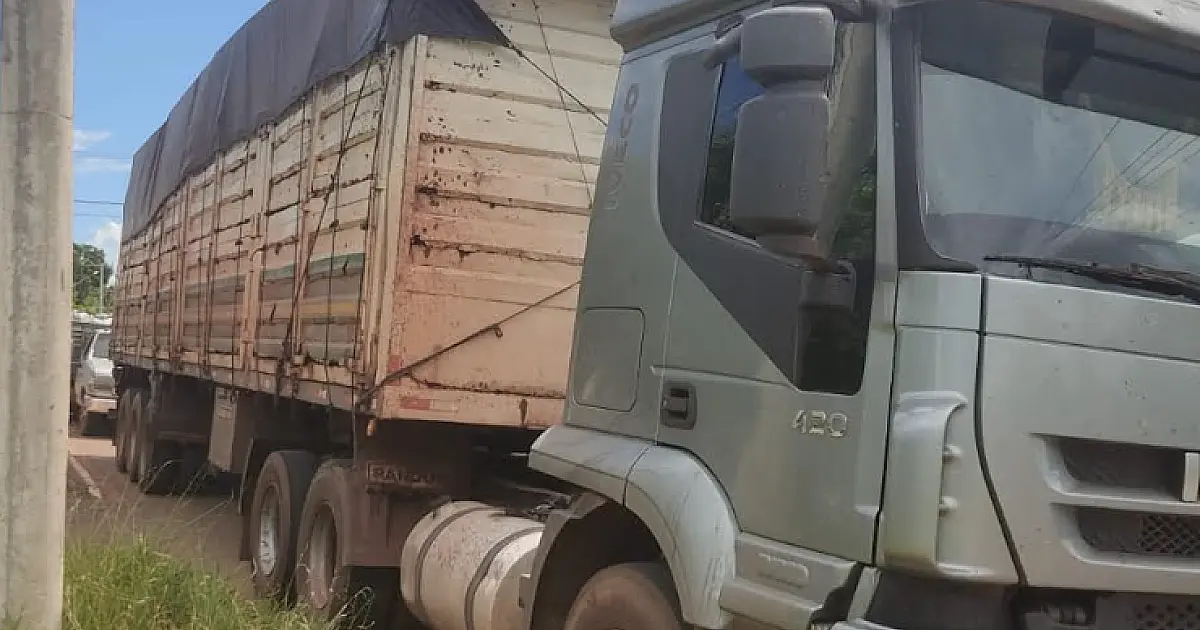 Carga ilegal de carvão é apreendida na fronteira com o Paraguai