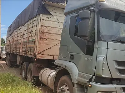 Carga ilegal de carvão é apreendida na fronteira com o Paraguai