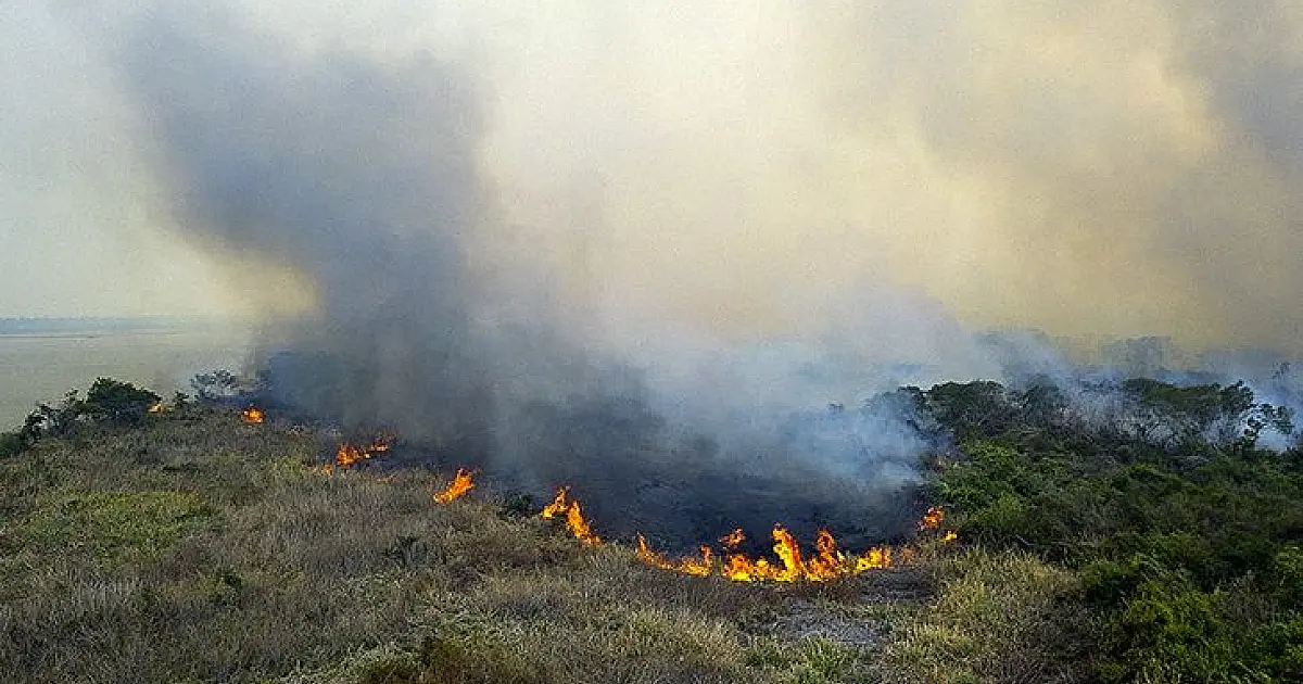Propriedades atingidas pelas queimadas no Pantanal podem receber isenção no ITR