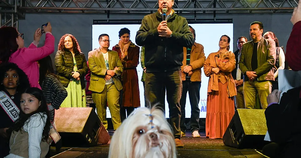 Governo lança certificação para protetores de animais e ONGs de Mato Grosso do Sul