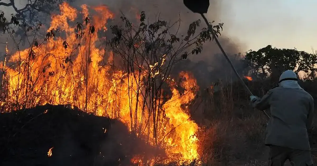 Recurso extraordinário para combater incêndios no Pantanal pode ser liberado em 24 horas