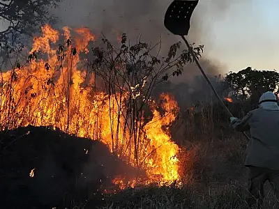 Recurso extraordinário para combater incêndios no Pantanal pode ser liberado em 24 horas