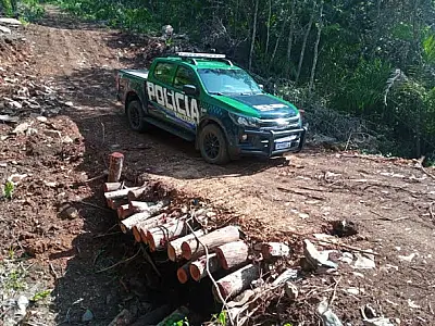 Campo-grandense é multado por abrir estrada ilegal em propriedade
