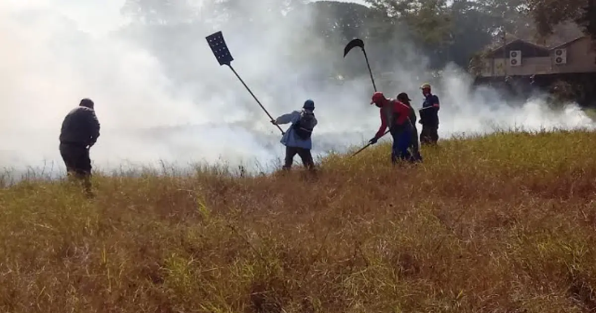 PL aprovada na câmara federal estabelece brigada permanente de combate a incêndios florestais
