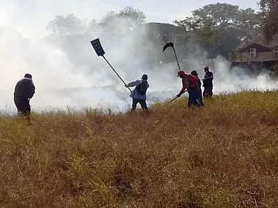PL aprovada na câmara federal estabelece brigada permanente de combate a incêndios florestais