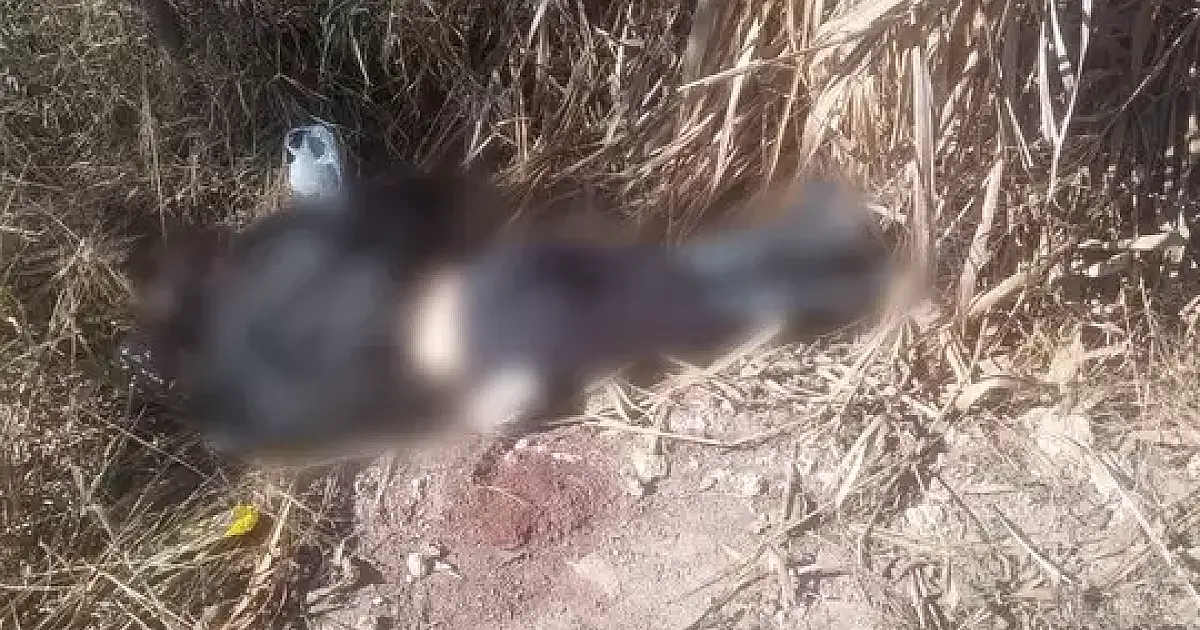 Corpo de mulher é achado com sinais de violência em área isolada de Corumbá