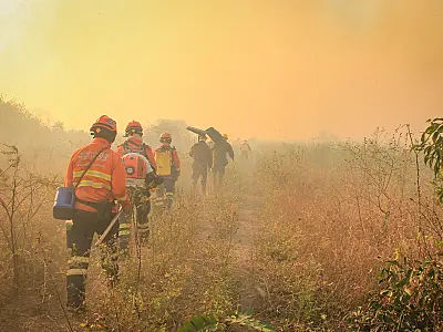 Mato Grosso do Sul decreta situação de emergência por incêndios florestais