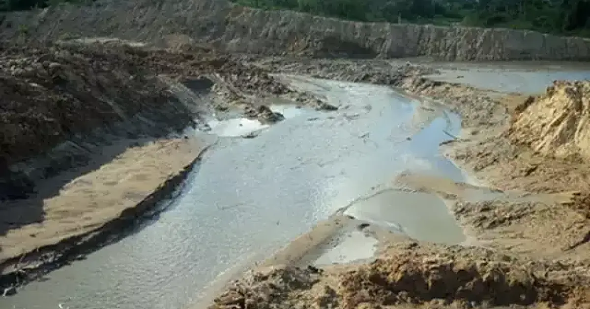 Empresa é condenada a pagar R$ 1,2 milhão por danos ao Pantanal
