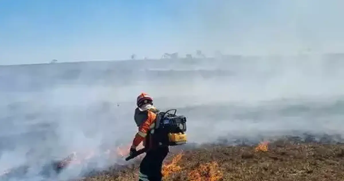 Bombeiros temporários passam a ter afastamento remunerado