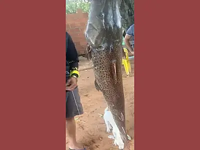 Homem é multado por pesca ilegal após exibir imagens na rede social