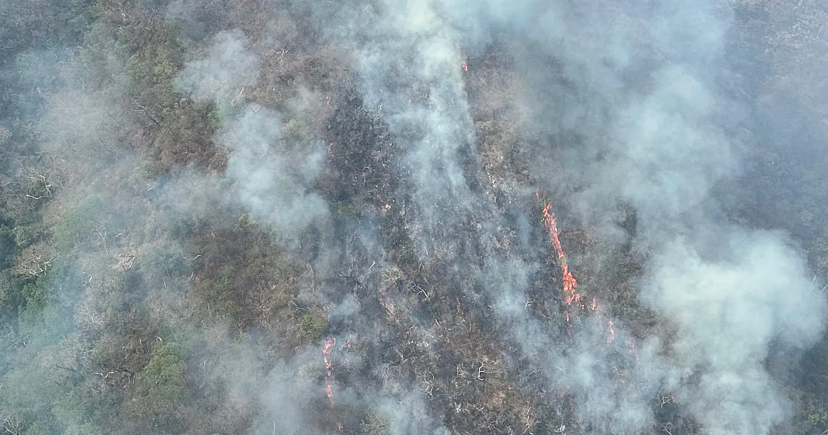 Fogo avança e atinge 11 km em Reserva na Serra do Amolar