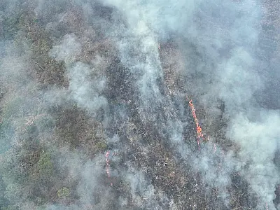 Fogo avança e atinge 11 km em Reserva na Serra do Amolar