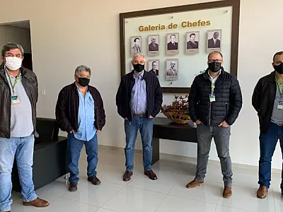 Embrapa anuncia estudo do Gigante Boliviano em consórcio com Braquiária e Panicum